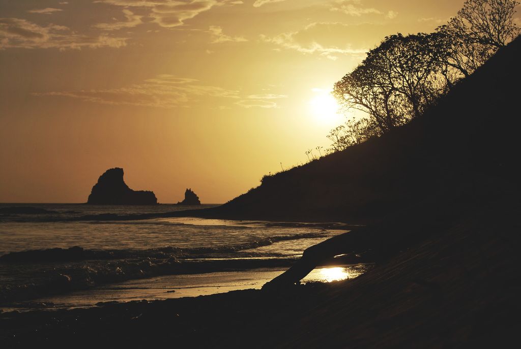 Estrogen's association with Vitamin D raises new inquiries.